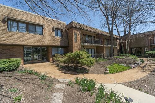 250 Old Oak Unit 172, Buffalo Grove, IL 60089