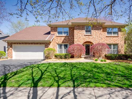 1564 Abbotsford, Naperville, IL 60563