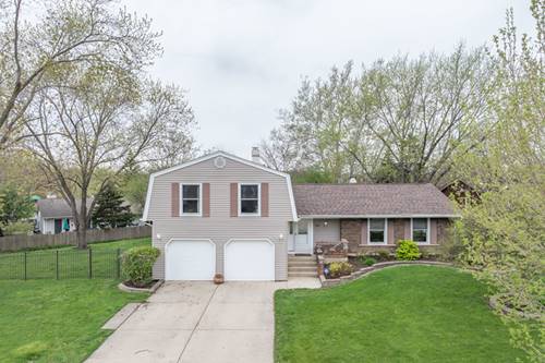 258 Fremont, Bloomingdale, IL 60108