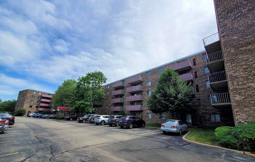 1460 Fairlane Unit 509, Schaumburg, IL 60193