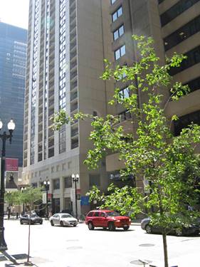 200 N Dearborn Unit 4005, Chicago, IL 60601