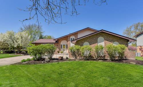 14520 S Canvasback, Homer Glen, IL 60491