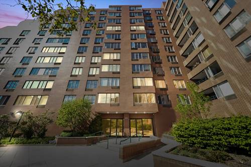 801 S Plymouth Unit 403, Chicago, IL 60605