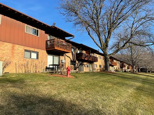 100 Willow Unit B111, Willow Springs, IL 60480