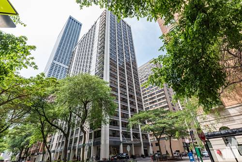 222 E Pearson Unit 301, Chicago, IL 60611