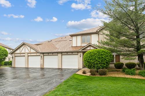 6421 Pine Trail Unit 4, Tinley Park, IL 60477