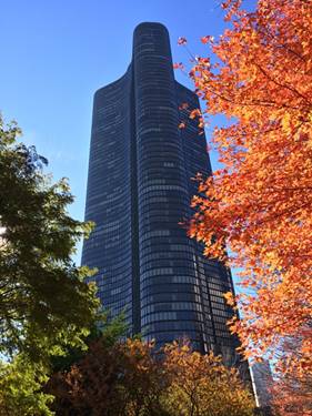 505 N Lake Shore Unit 6601, Chicago, IL 60611