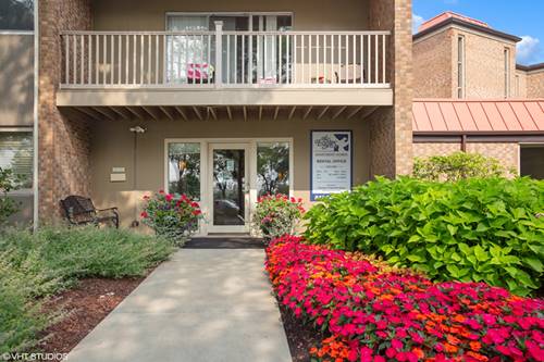 420 Eagle Unit 203, Elk Grove Village, IL 60007