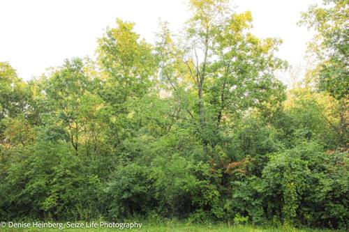 802 Echo (Lot 23), Marengo, IL 60152