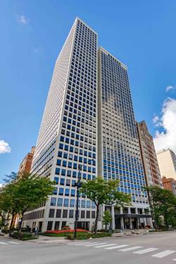 1100 N Lake Shore Unit 24B, Chicago, IL 60611