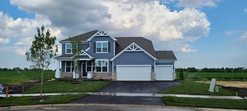 23440 W Lansdowne, Plainfield, IL 60585
