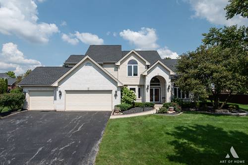 21364 Old North Church, Frankfort, IL 60423