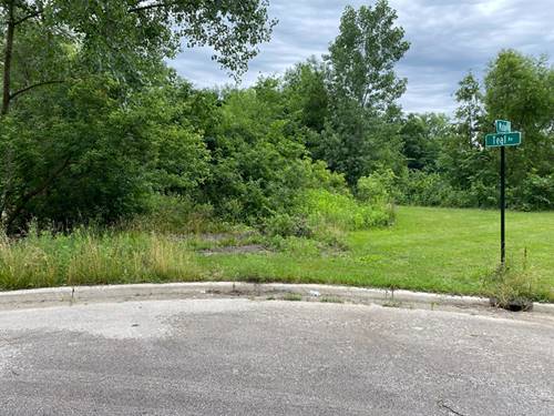 LOTS 14 & 15 Teal, Elgin, IL 60123