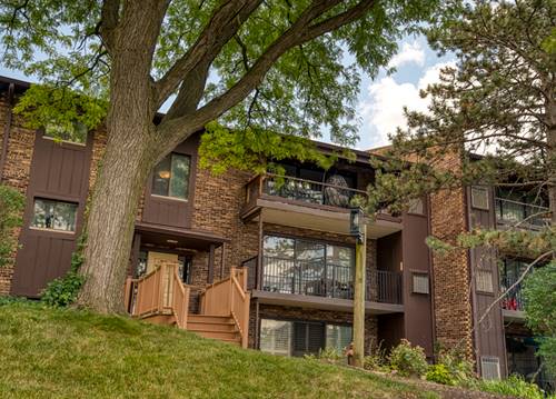 1325 Cass Unit 302, Westmont, IL 60559