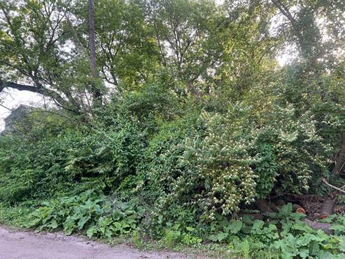 10401 Kenilworth, Algonquin, IL 60102