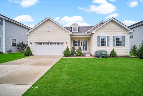 580 S Canyon, Romeoville, IL 60446