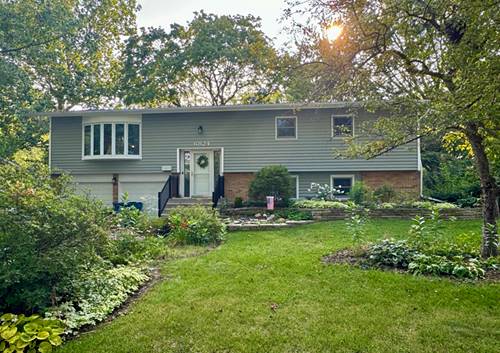 6824 Valley View, Downers Grove, IL 60516