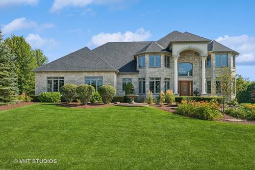 18012 S Crystal Lake, Mokena, IL 60448