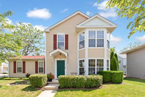 928 Serendipity, Aurora, IL 60504