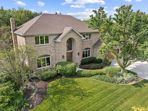 10597 Yankee Ridge, Frankfort, IL 60423
