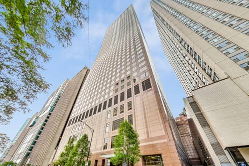 161 E Chicago Unit 53C, Chicago, IL 60611