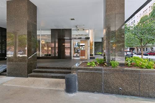 850 N Dewitt Unit 6F, Chicago, IL 60611