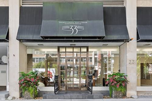 33 E Cedar Unit 6D, Chicago, IL 60611
