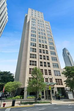 1035 N Dearborn Unit 17, Chicago, IL 60610