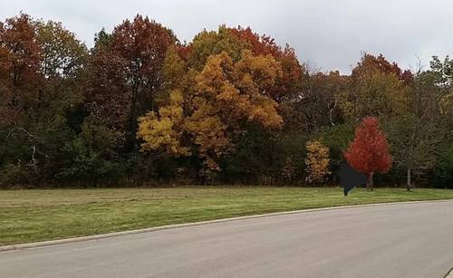 11205 Morning Dove, Spring Grove, IL 60081