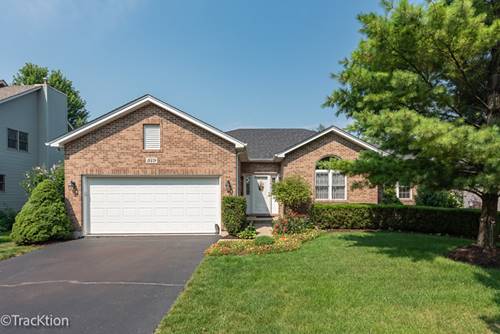 519 Danbury, Oswego, IL 60543