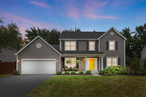 875 Blue Mesa, Cary, IL 60013