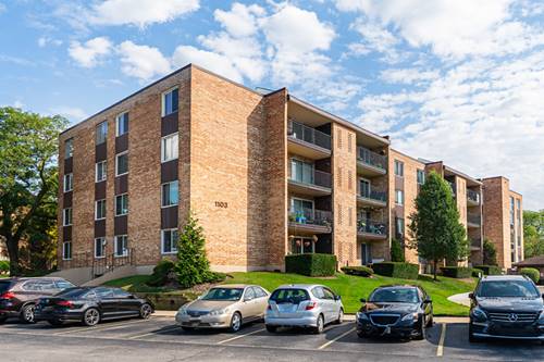 1103 Hunt Club Unit 119, Mount Prospect, IL 60056