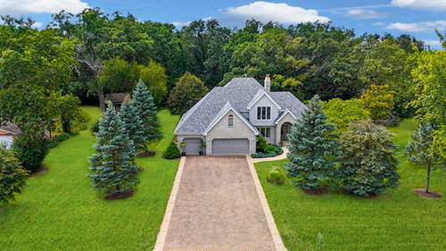 13916 Christina, Homer Glen, IL 60491