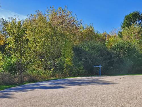 Lot 23 Applewood, Wadsworth, IL 60083