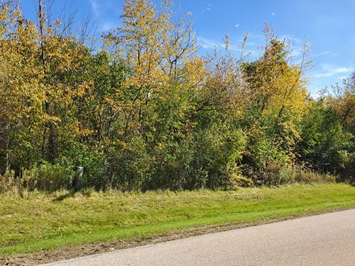 LOT 8 Orchard Bluff, Wadsworth, IL 60083