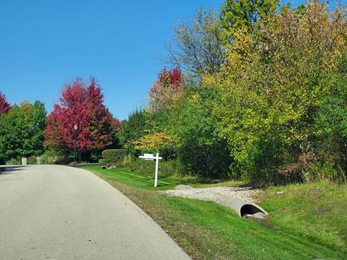 LOT 7 Orchard Bluff, Wadsworth, IL 60083