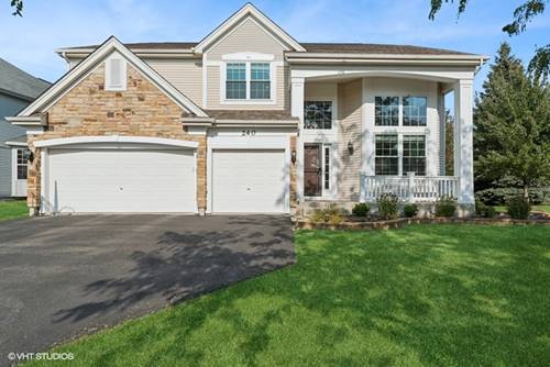 240 W Savoy, Round Lake, IL 60073