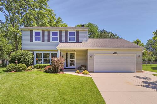 2104 Rose, Schaumburg, IL 60194