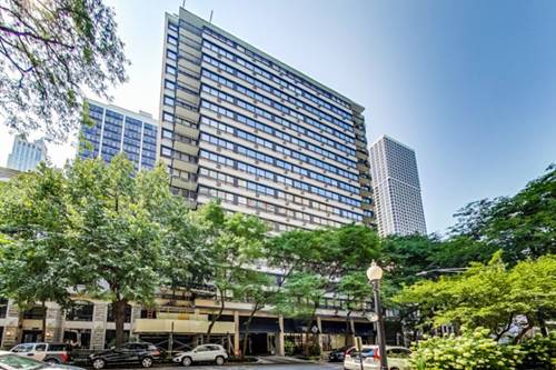 33 E Cedar Unit 3D, Chicago, IL 60611