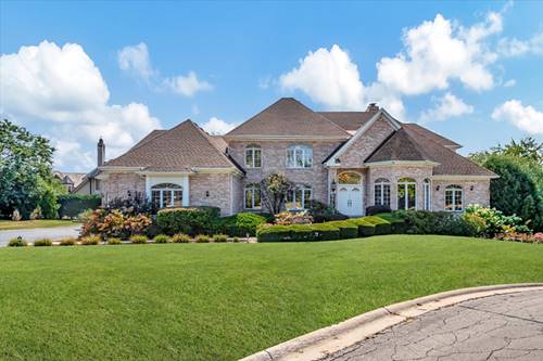 10729 Misty Hill, Orland Park, IL 60462