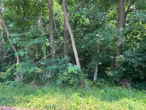 Lot 60 & 61 Paul, Mchenry, IL 60051