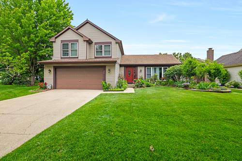 368 W Windsor, Bloomingdale, IL 60108