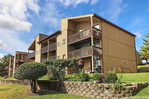 55 Vail Colony Unit 1, Fox Lake, IL 60020