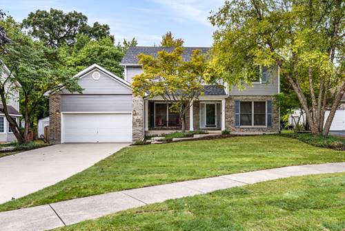 4 Winterberry, Bolingbrook, IL 60440