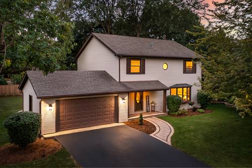 1420 Brush Hill, Naperville, IL 60540