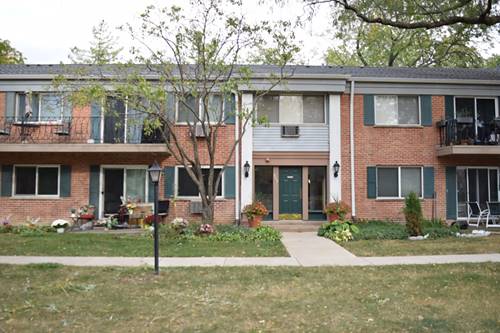 711 E Falcon Unit 205, Arlington Heights, IL 60005