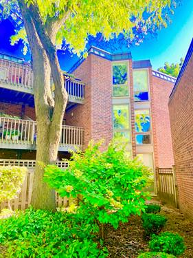 2131 N Larrabee Unit 6206, Chicago, IL 60614