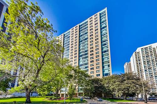 3180 N Lake Shore Unit 3D, Chicago, IL 60657