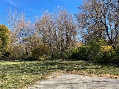 Lot 100 South, Elgin, IL 60124