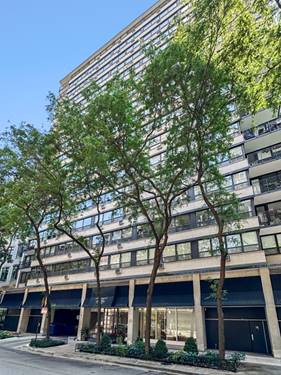33 E Cedar Unit 15H, Chicago, IL 60611